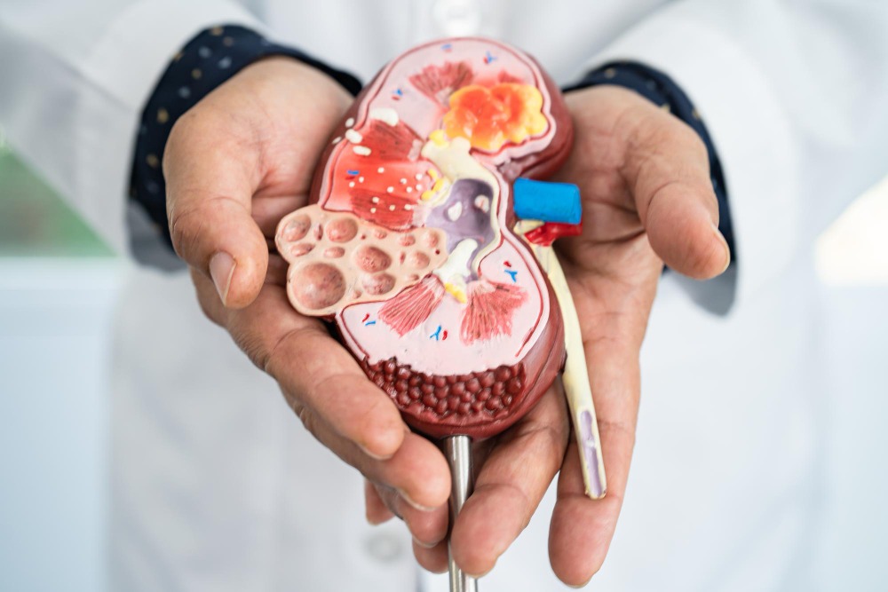 Nephrology